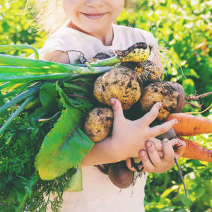 pic_farm pic_farm